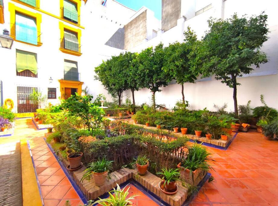 Plaza Cristo De Burgos Apartment Seville Exterior photo